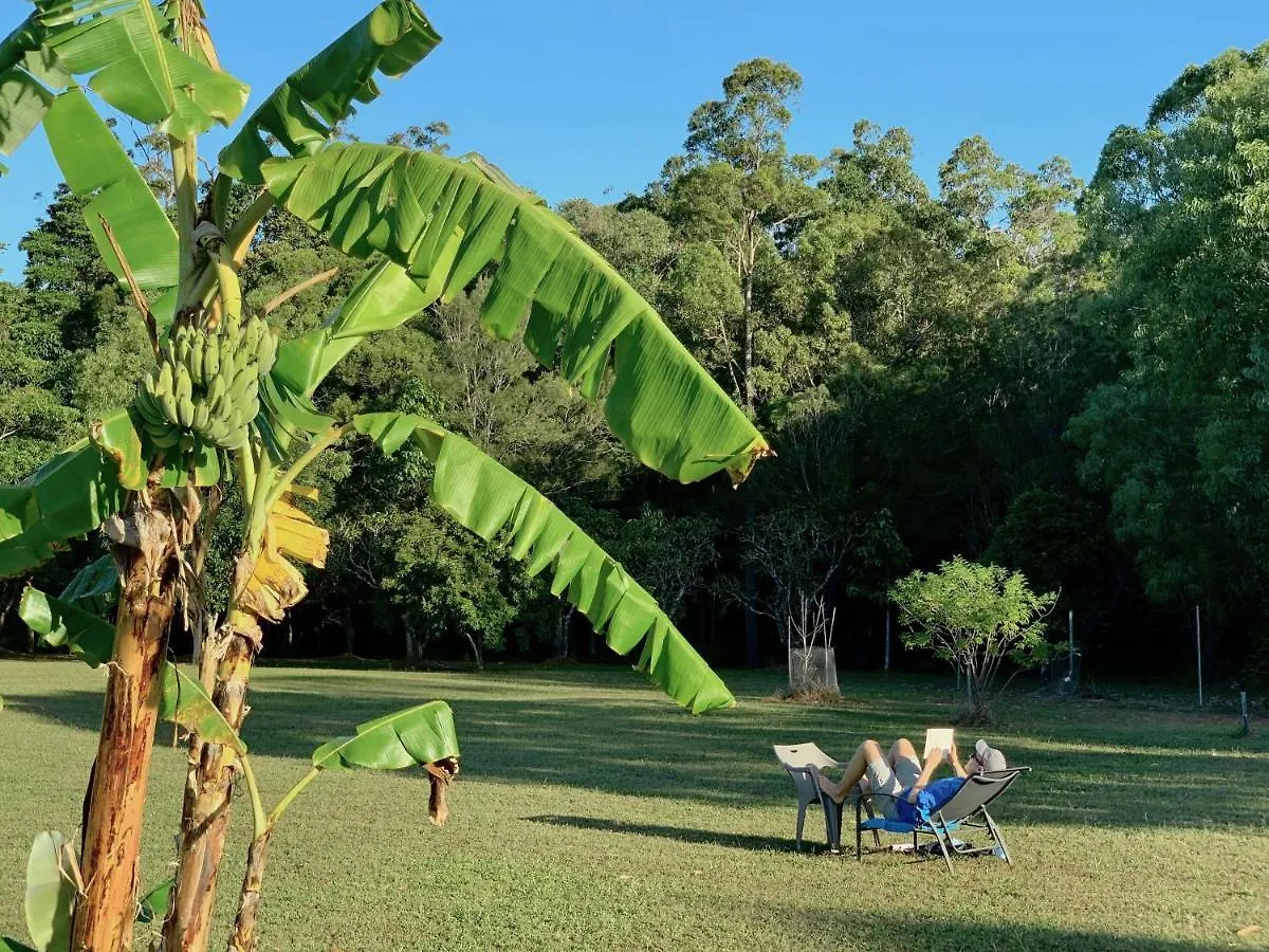 Cedar Park Rainforest Resort Koah